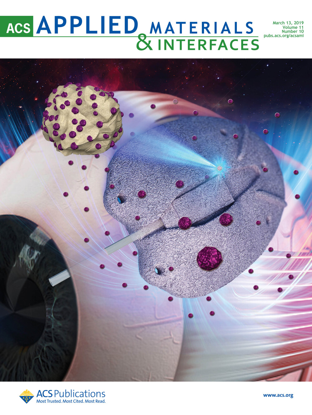 ACS Appl. Mater. Interfaces 哈尔滨医科大学等发表前沿科研美图，展现生物材料与医学界面的创新魅力