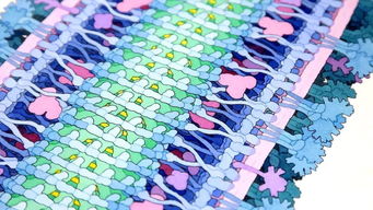 科研与艺术的交融 将面目可憎的病毒化为绚丽水彩的科学家